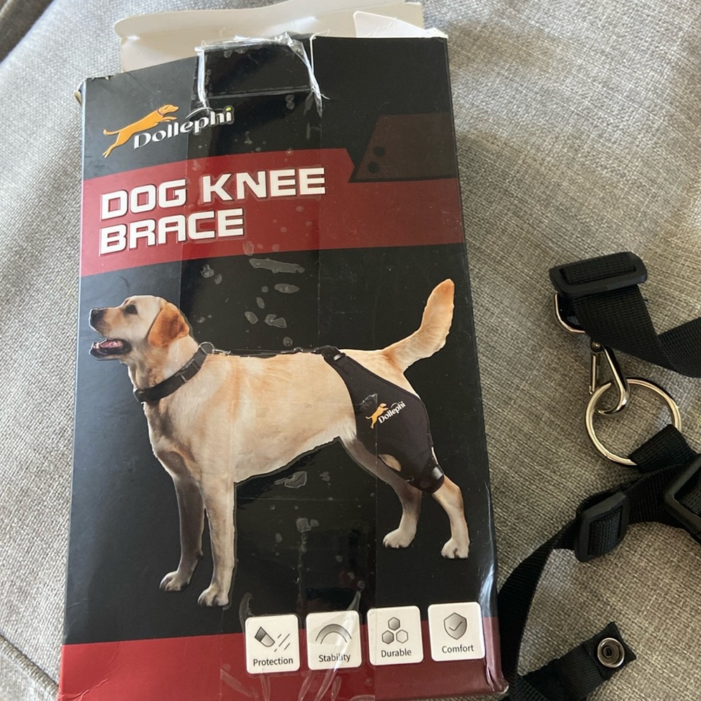 Dollephi dog knee brace.  Size large